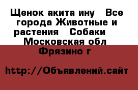Щенок акита ину - Все города Животные и растения » Собаки   . Московская обл.,Фрязино г.